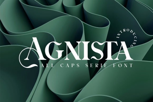 Agnista: A Refined Serif Font for Web Design