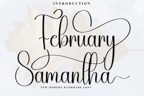 Elevate Branding with February Samantha Font
