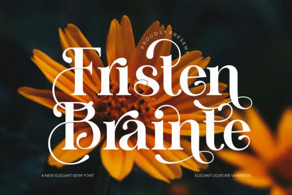 Fristen Brainte Typeface for Modern Branding