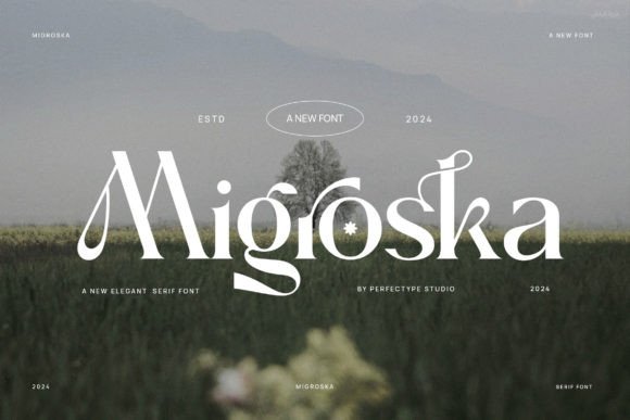 Migroska Serif: A Designer’s Honest Review