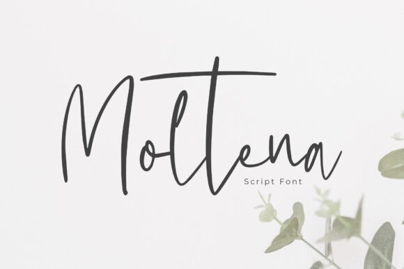 Moltena: Elevate Your Brand With This Elegant Script Font