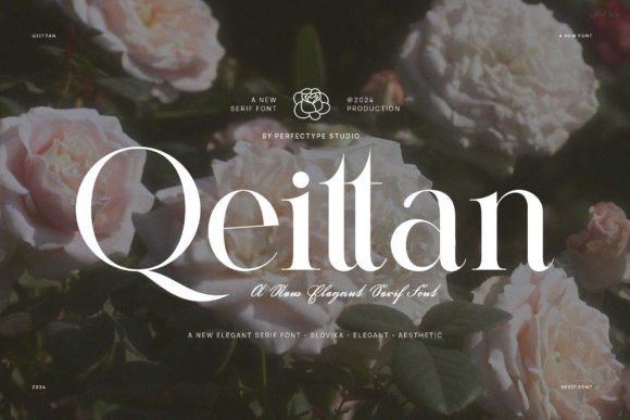 Qeittan: The Serif Font That Elevates Handmade Design