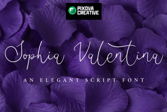 Sophia Valentina: The Script Font That Elevates Campaigns