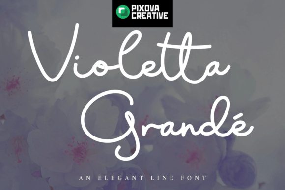 Violetta Grande: A Hand-Crafted Script Font for Branding